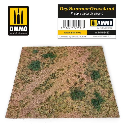 A.MIG-8487 Füves száraz nyári alap - Dry Summer Grassland