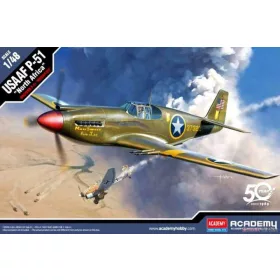 Academy_12338 USAAF P-51 "North Africa" (1/48)