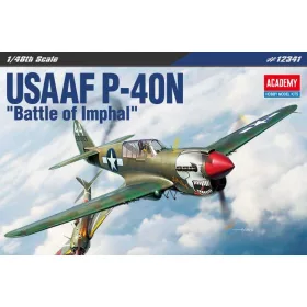   Academy_12341 USAAF P-40N "Battle of Imphal" (1/48)