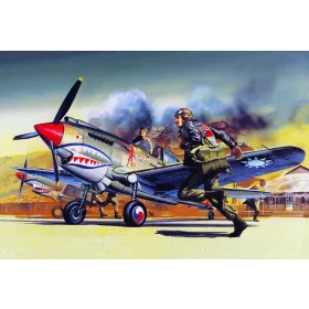 Academy_12456 P-40B (1/72)