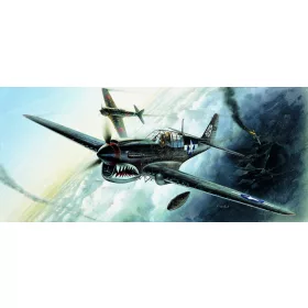 Academy_12465 P-40M/N (1/72)