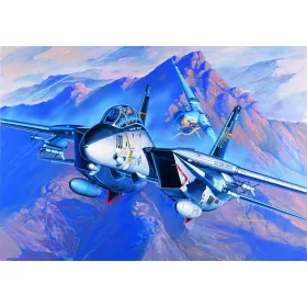 Academy_12471 F-14A (1/72)