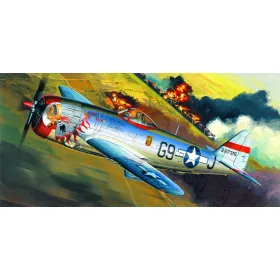 Academy_12491 P-47D "BUBBLE-TOP" (1/72)