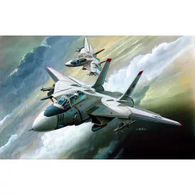 Academy_12608 F-14 (1/144)