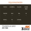 AK Interactive AK11026 Tenebrous Grey 17 ml akril makett festék