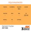 AK Interactive AK11053 Radiant Flesh 17 ml akril makett festék