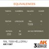 AK Interactive AK11307 RAL 7009 Hellgrau 17 ml akril makett festék