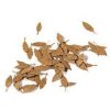 AK Interactive AK8109 UNIVERSAL DRY LEAVES 1:35 (High Quality) - Falevelek