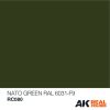 AK Interactive RC080 Nato Green RAL 6031 F9 10 ml - Akril lakk bázisú makett festék