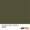 AK Interactive RC100 Russian Grey Green 10 ml - Akril lakk bázisú makett festék