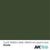 AK Interactive RC209 Olive Green/USMC Green RAL 6003/FS34095 10 ml - Akril lakk bázisú makett festék