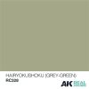 AK Interactive RC328 Hairyokushoku (Grey-Green) 10 ml - Akril lakk bázisú makett festék