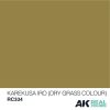 AK Interactive RC334 Karekusa Iro (Dry Grass Colour) 10 ml - Akril lakk bázisú makett festék