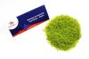 Amazing Art 13753 GRASS TURF SUBGROUND - GREEN 25g