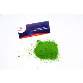   Amazing Art 13852 FINE GRASS FLOUR SUBGROUND - INTENSIVE DARK GREEN 25g