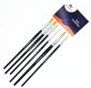 Amazing Art 40276 AMAZING ART BRUSH SET SET OF 6 BRUSHES DIFFERENT SIZES