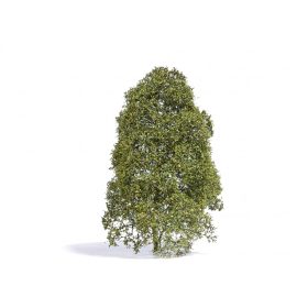 Busch 3586 Filigrán bokor, tavaszi lombozattal (1 db), 150 mm  - Filigran serie (0,H0,TT)