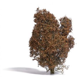 Busch 3590 Filigrán bokor, őszi közepes lombozattal (1 db), 150 mm  - Filigran serie (H0,TT,