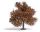 Busch 3664 Fiatal tölgyfa, 95 mm, őszi (H0)