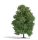 Busch 3743 Lombos fa, 150 mm, késő nyári - Natur Pur Exklusiv (H0)