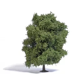 Busch 3761 Bükkfa, 220 mm - Natur Pur Exklusiv (H0)