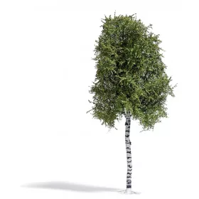 Busch 3782 Nyírfa, 170 mm, nyári - Natur Pur Exklusiv (H0)