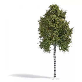   Busch 3783 Nyírfa, 170 mm, késő nyári - Natur Pur Exklusiv (H0)