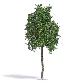 Busch 3792 Platánfa, nyári lombozattal, 170 mm  - Natur Pur Exklusiv (H0)