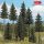 Busch 6391 Lucfenyő-erdő, 8 db, 70 - 150 mm, tobozokkal és erdei állatokkal (H0)