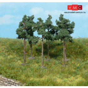 Heki 1152 Erdei fenyő (6 db), 6 cm (H0,TT,N)