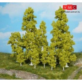 Heki 1322 Nyírfa (10 db), 10-18 cm
