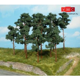 Heki 1413 Erdei fenyő (14 db), 10-16 cm (H0,TT)