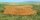 Heki 15791 Wildgras: Kora őszi fű (28 x 14 cm)