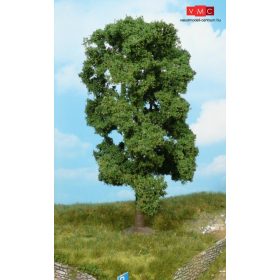 Heki 1910 Hársfa, 18 cm (H0)