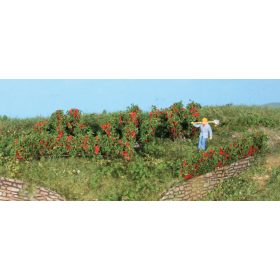 Heki 19125 Rózsaültetvény, 10 db - 0,7 - 3 cm (H0,TT,N)