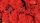 Heki 3213 Izlandi moszat, piros (30 g)