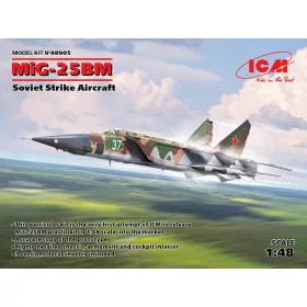 ICM 48905 MiG-25 BM, Soviet Strike Aircraft (1/48)