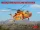 ICM 53059 Sikorsky S-64E Skycrane with Universal Pod 1/35 helikopter makett