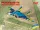 ICM 72144 MiG-29 with JDAM-ER bombs Ukranian Air Forces (1/72)