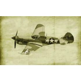 Italeri 2829 P-40F Warhawk (1/48) repülőgép makett