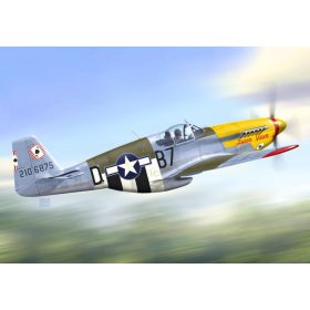   KPM0247 North American P-51B „Mustang Malcolm“ repülőgép makett 1/72