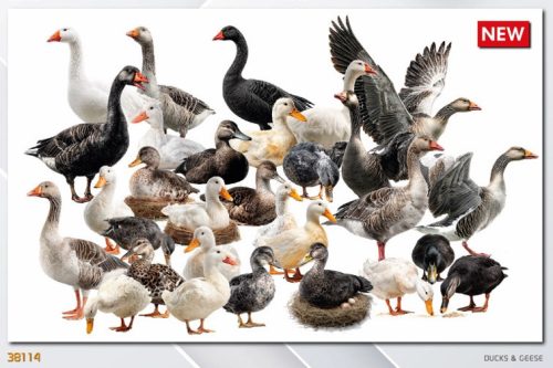 MiniArt 38114 Ducks & Geese (1/35) Civil figura makett