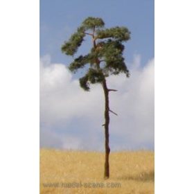   Model Scene BR100 Pine-tree 80-110mm (3x) - Magasnövésű fenyőfa, 3 db