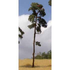  Model Scene BR150 Pine-tree 130-170mm (3x) - Magasnövésű fenyőfa, 3 db