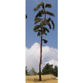   Model Scene BR250 Pine-tree 230-260mm (2x) - Magasnövésű fenyőfa (2 db)