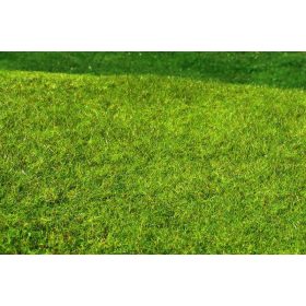   Model Scene F021 Meadow - High-grown, Spring - Fűlap, magasnövésű tavaszi fű - 18 x 28 cm