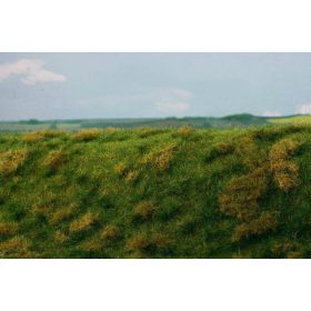   Model Scene F522 Fallow field, Early Summer - Elhanyagolt mező, kora nyári - 18 x 28 cm
