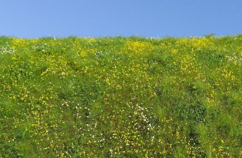Model Scene F561-S Blooming meadow - spring - MINIPACK - Virágzó mező, tavasz