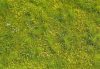 Model Scene F561-S Blooming meadow - spring - MINIPACK - Virágzó mező, tavasz