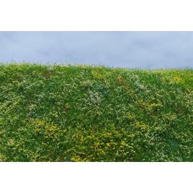   Model Scene F562 Blooming meadow - early summer - Virágzó mező, kora nyári